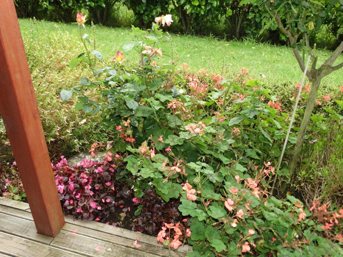 Kauri Lodge Karapiro Dış mekan fotoğraf