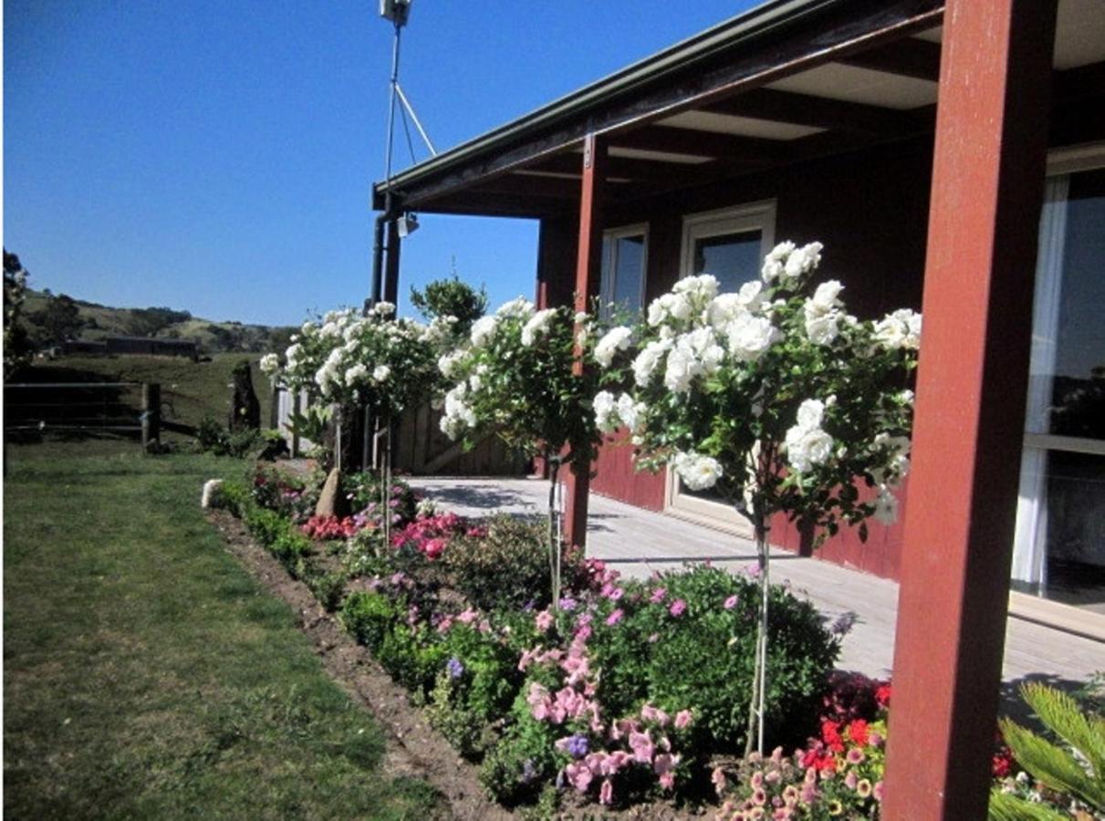 Kauri Lodge Karapiro Oda fotoğraf