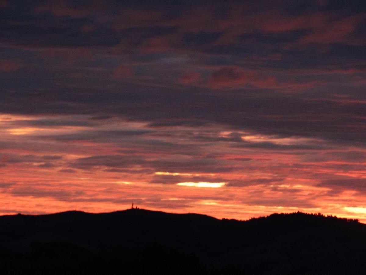 Kauri Lodge Karapiro Dış mekan fotoğraf