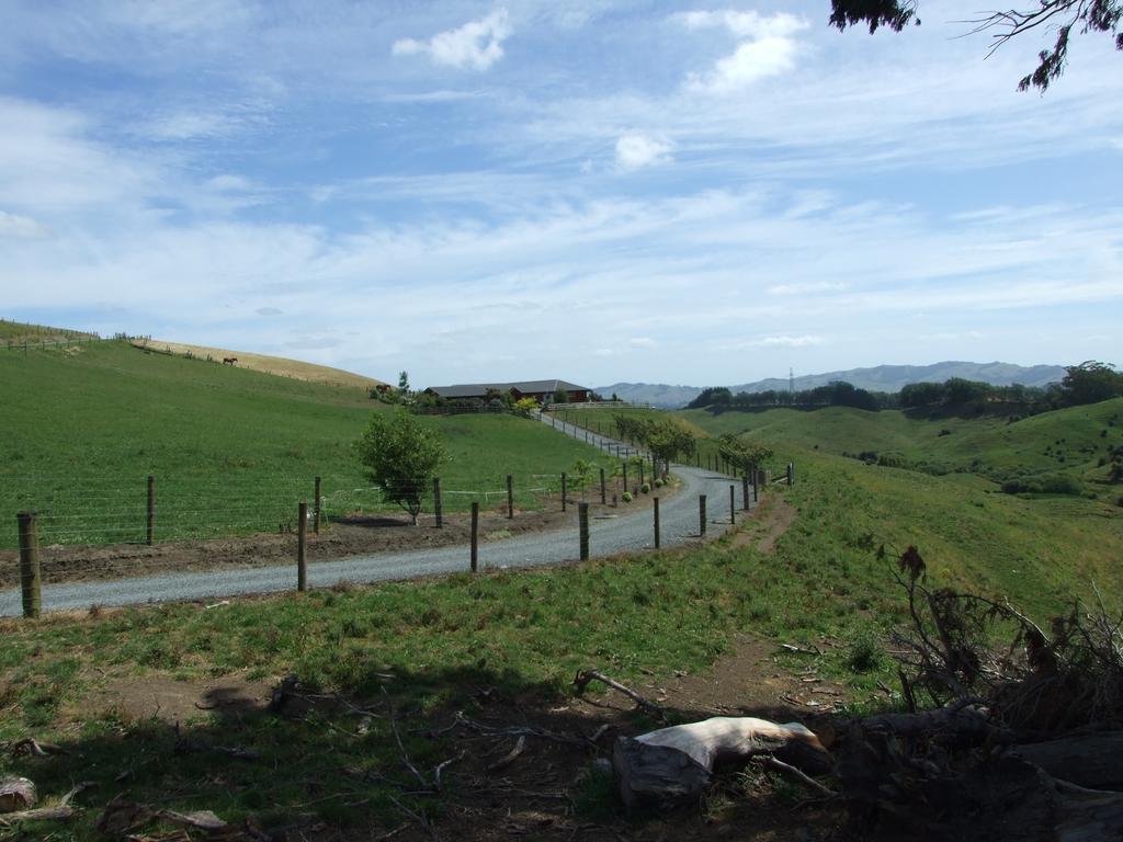 Kauri Lodge Karapiro Dış mekan fotoğraf