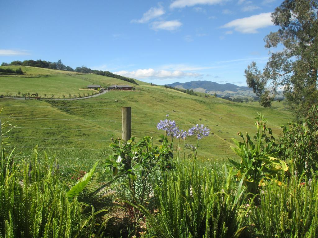 Kauri Lodge Karapiro Dış mekan fotoğraf
