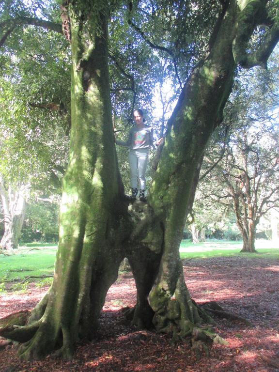 Kauri Lodge Karapiro Dış mekan fotoğraf