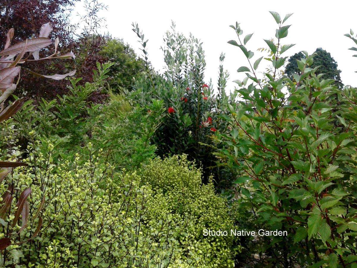 Kauri Lodge Karapiro Dış mekan fotoğraf